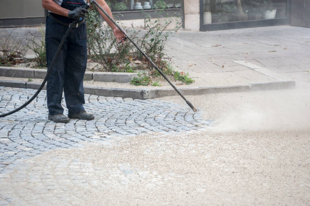 Trusted Fern Acres, HI Pressure Washing Experts